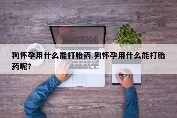 私人店有打胎药吗狗怀孕用什么能打胎药.狗怀孕用什么能打胎药呢？
