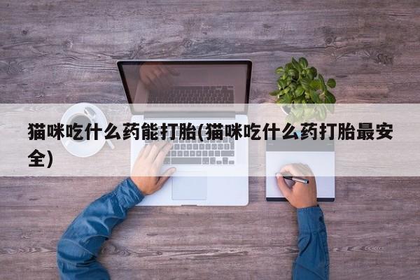 私人店有打胎药吗猫咪吃什么药能打胎(猫咪吃什么药打胎最安全)
