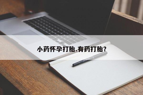 私人店有打胎药吗小药怀孕打胎.有药打胎？