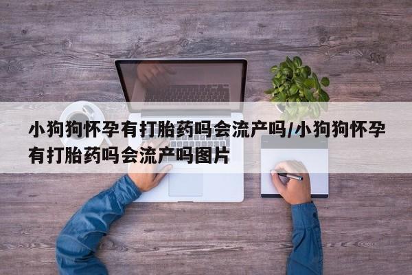 私人店有打胎药吗小狗狗怀孕有打胎药吗会流产吗/小狗狗怀孕有打胎药吗会流产吗图片