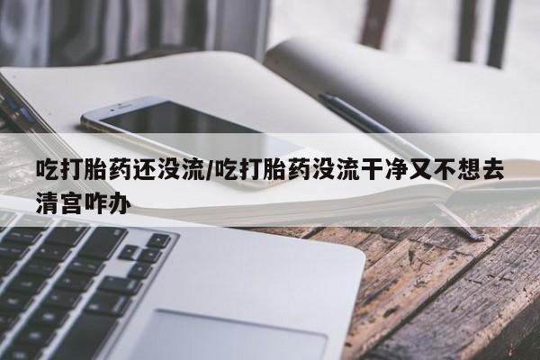 私人店有打胎药吗吃打胎药还没流/吃打胎药没流干净又不想去清宫咋办