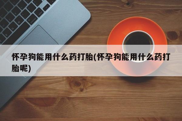 私人店有打胎药吗怀孕狗能用什么药打胎(怀孕狗能用什么药打胎呢)