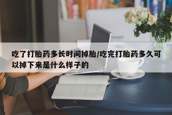 私人店有打胎药吗吃了打胎药多长时间掉胎/吃完打胎药多久可以掉下来是什么样子的